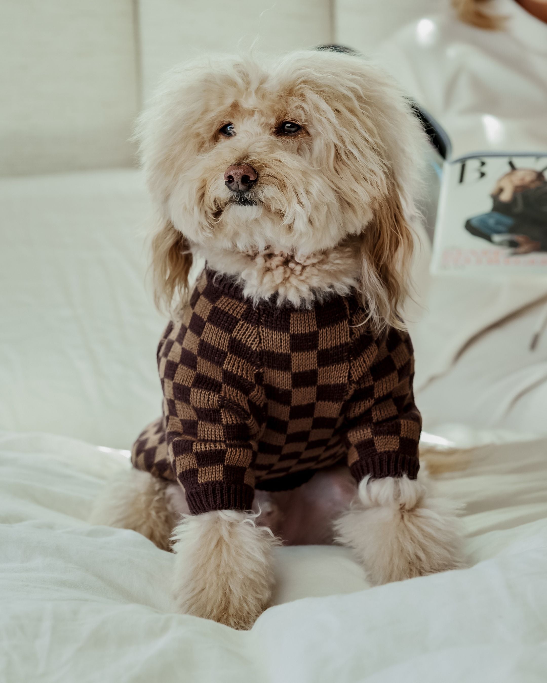 Shades Of Brown Designer Dog Jumper