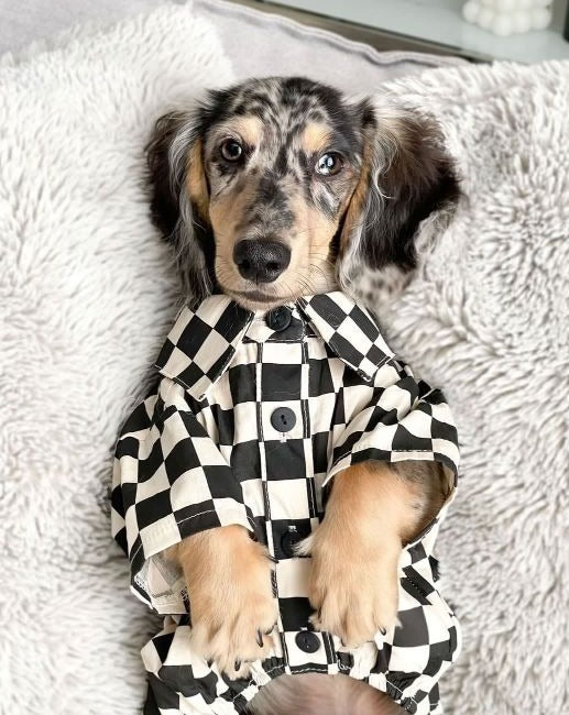 Cream Black Checkered Poplin Button Up Dog Shirt Dog Fashion FURB