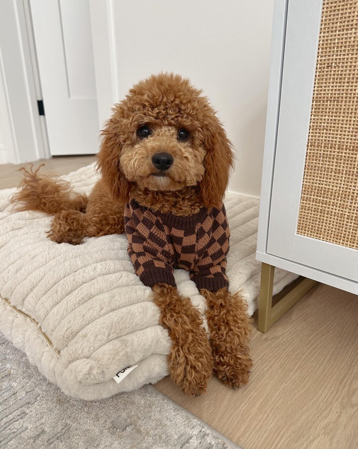 Arlo Brown Check Dog Sweater