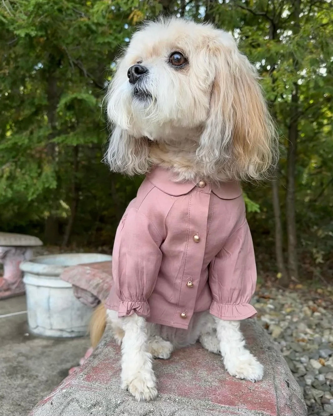 Mon Petit Rose Linen Dog Blouse 