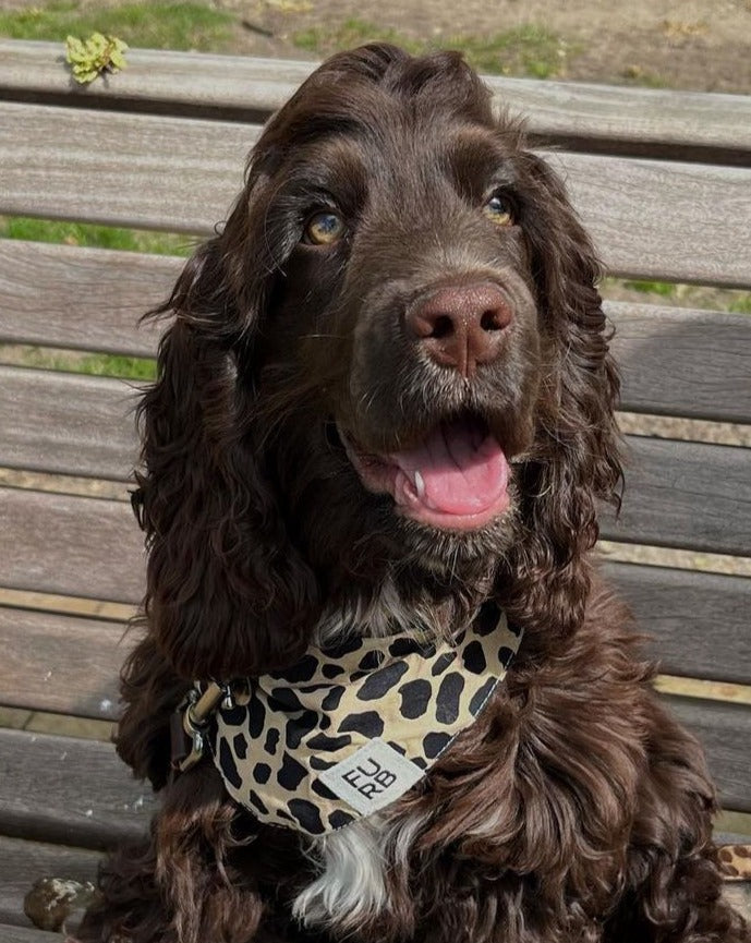 Hemlock Leopard Dog Bandana