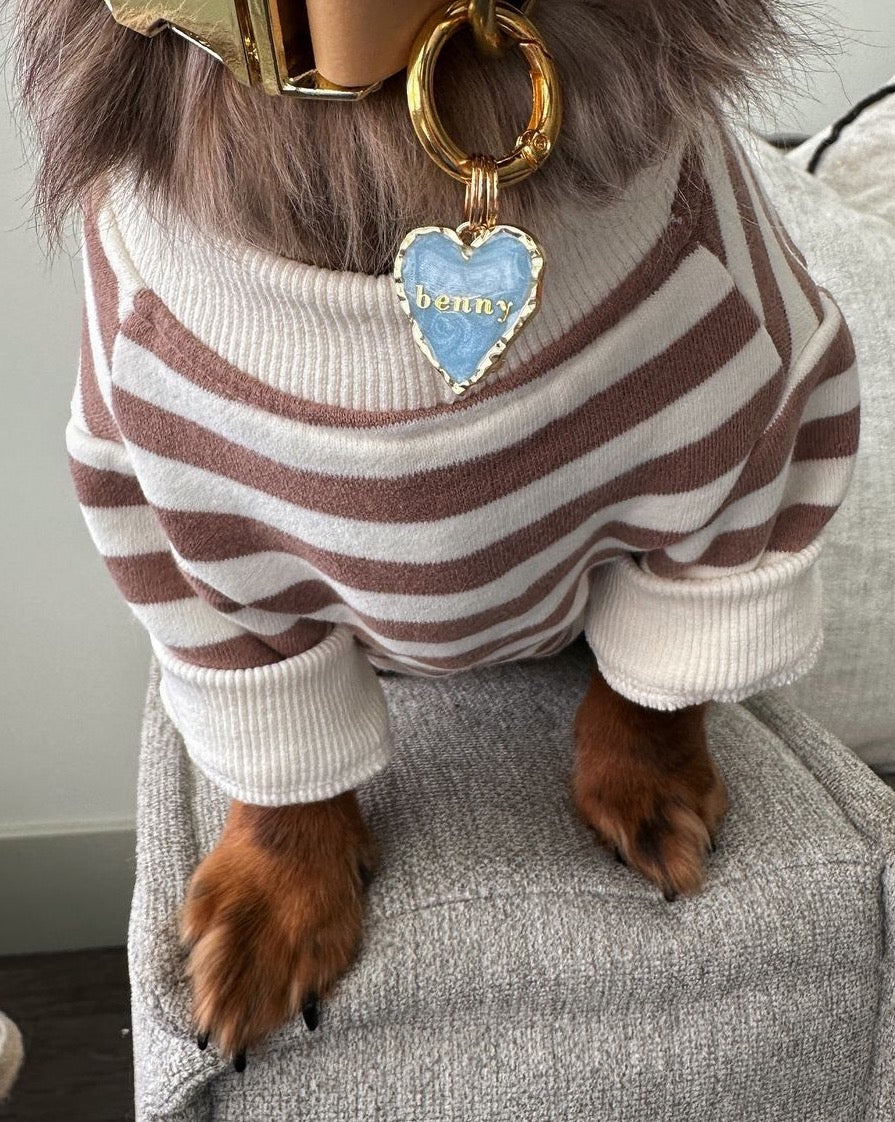 Camden Brown Striped Dog Sweatshirt