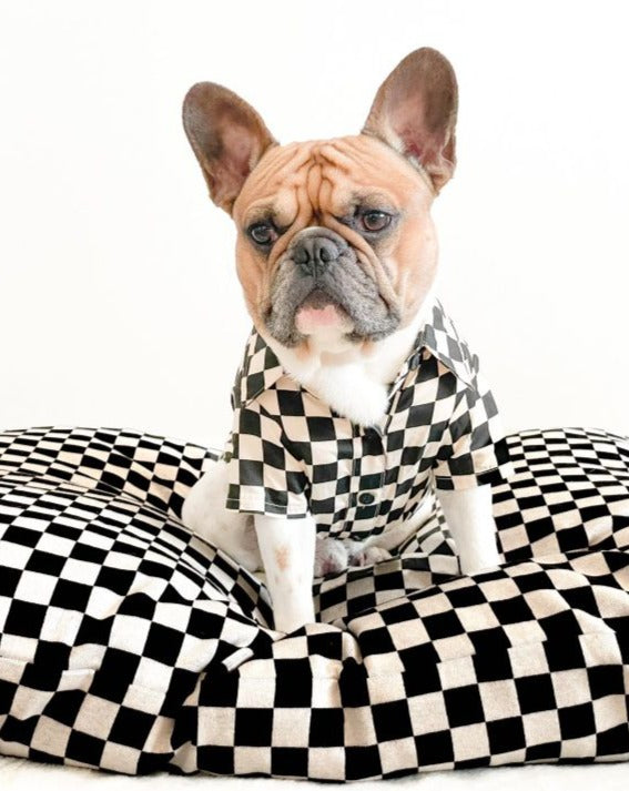 Black and white checkered dog bed best sale