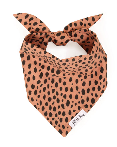 Jungle Cat Animal Print Cotton Bandana for Small Dogs like Dachshunds, Pugs, and Chihuahuas