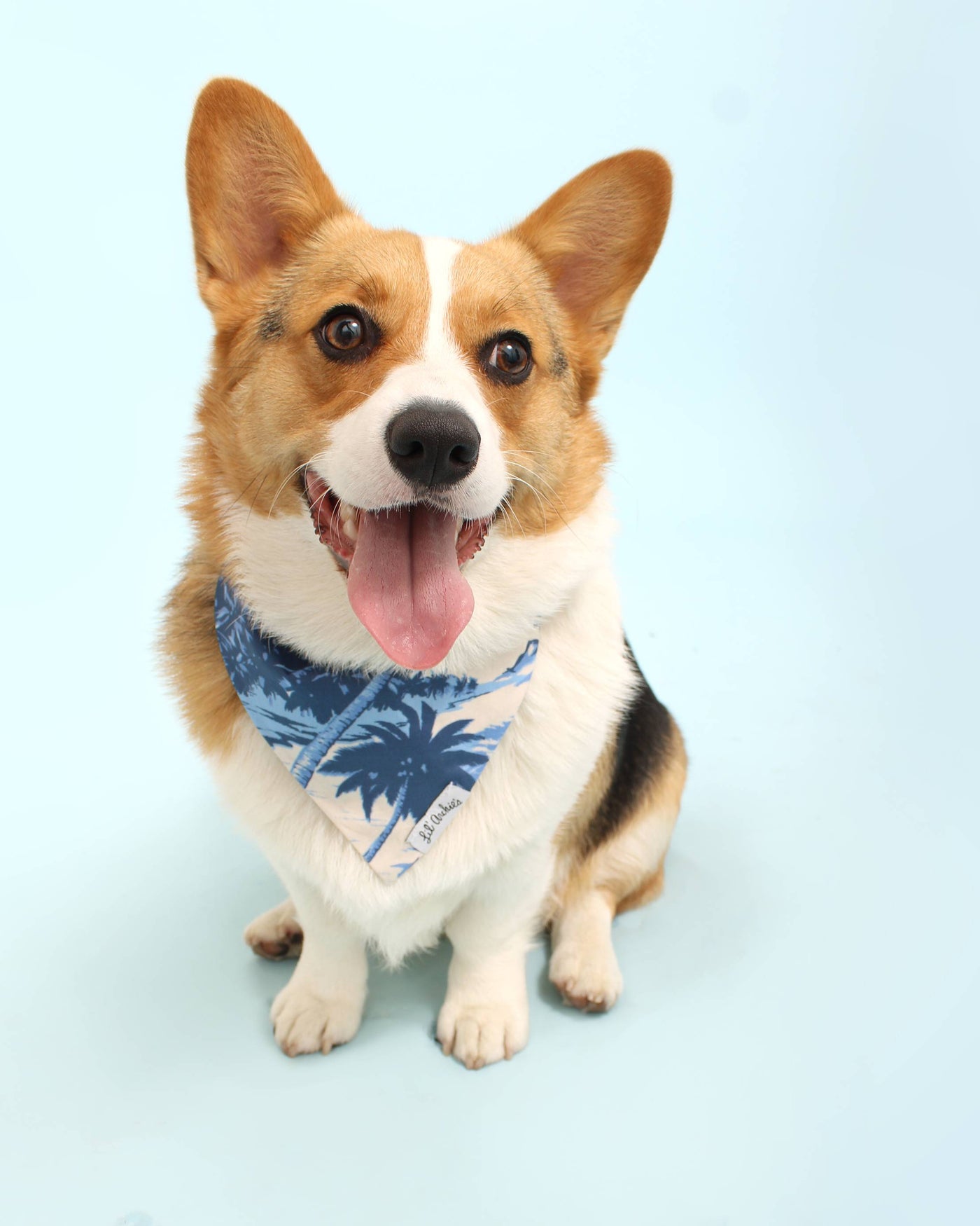 Stylish Reversible Blue Cotton Bandana for Small Breeds like Schnauzers, Maltese, and Yorkies