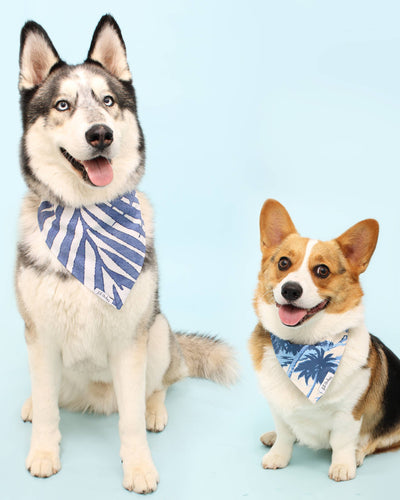 St. Barts Reversible Blue Palm Cotton Bandana for Small Dogs like Chihuahuas, Pugs, and Poodles