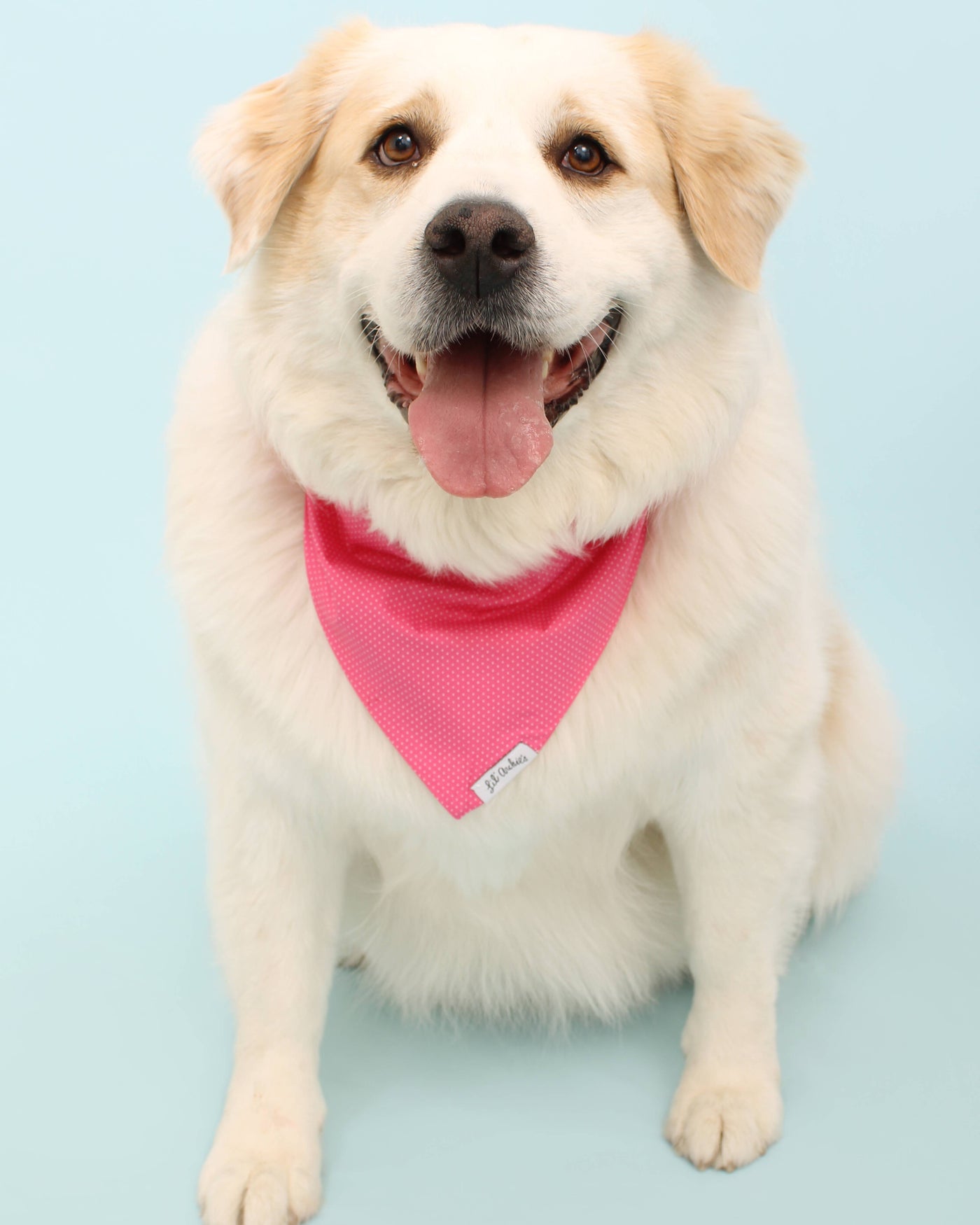 Stylish pink micro dot dog bandana for dogs of all sizes, perfect for everyday wear