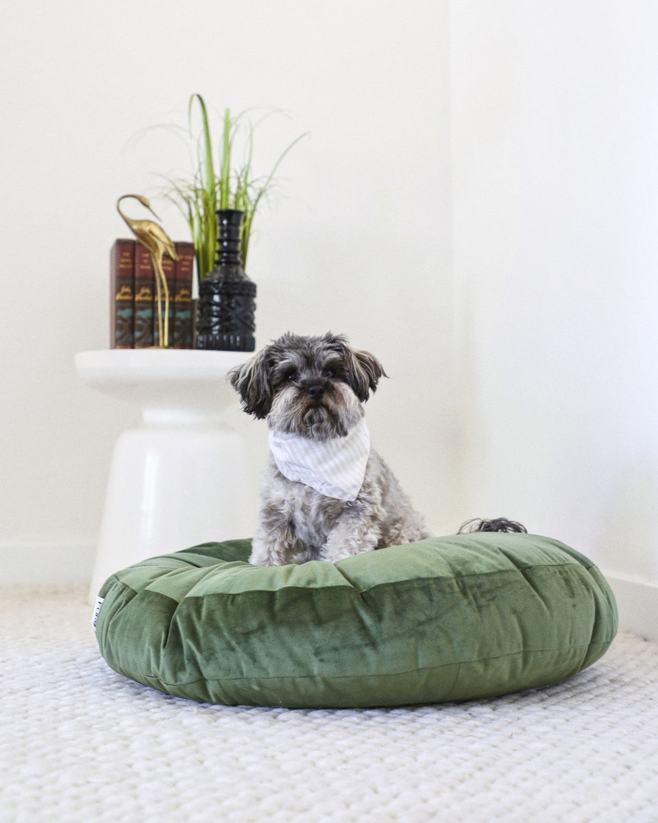 Velvet 2025 dog bed