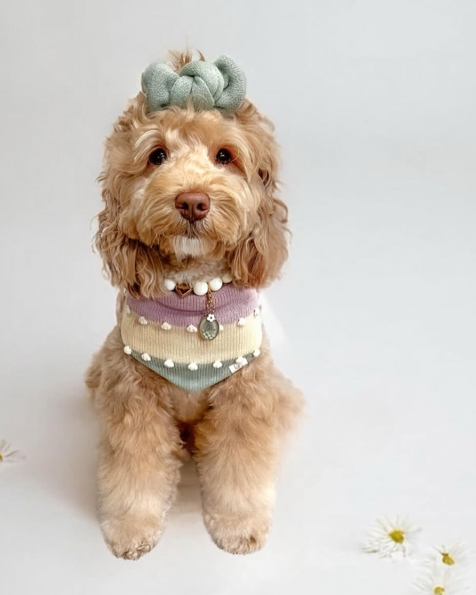 Polished Pup Ivory Beaded Dog Necklace