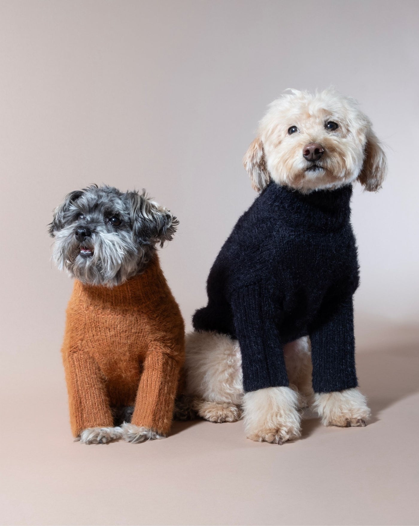 Soft black eyelash knit dog sweater, great for keeping your furry friend cozy.