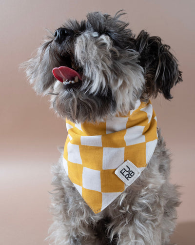 Yellow checkered dog bandana, a cheerful accessory for any pup.