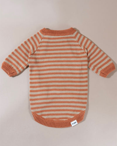 Havanese striped knit dog sweater, blending comfort with a chic design.