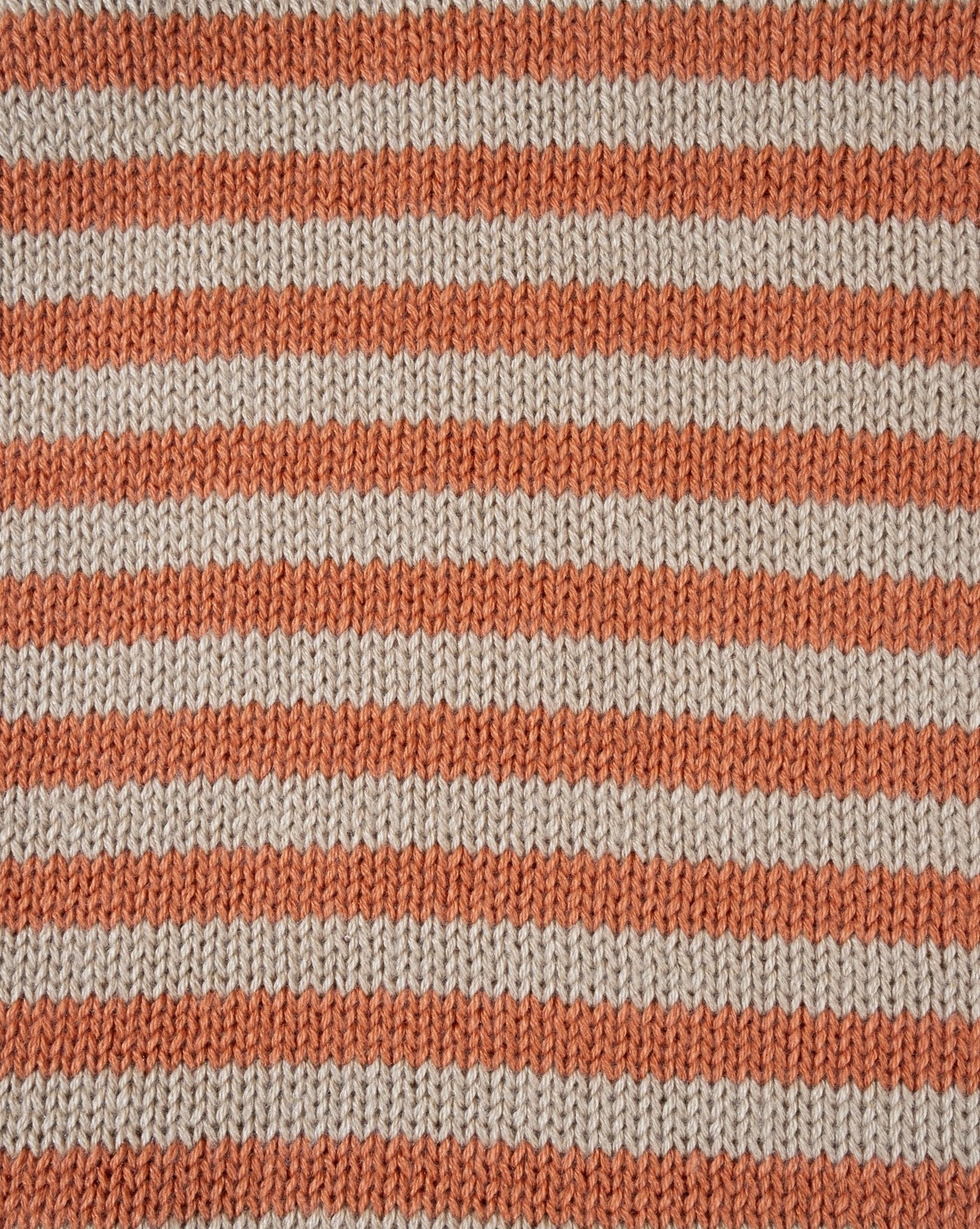 Cavalier King Charles Spaniel sweater. Orange knit stripe, showcasing cozy luxury for small breeds. 