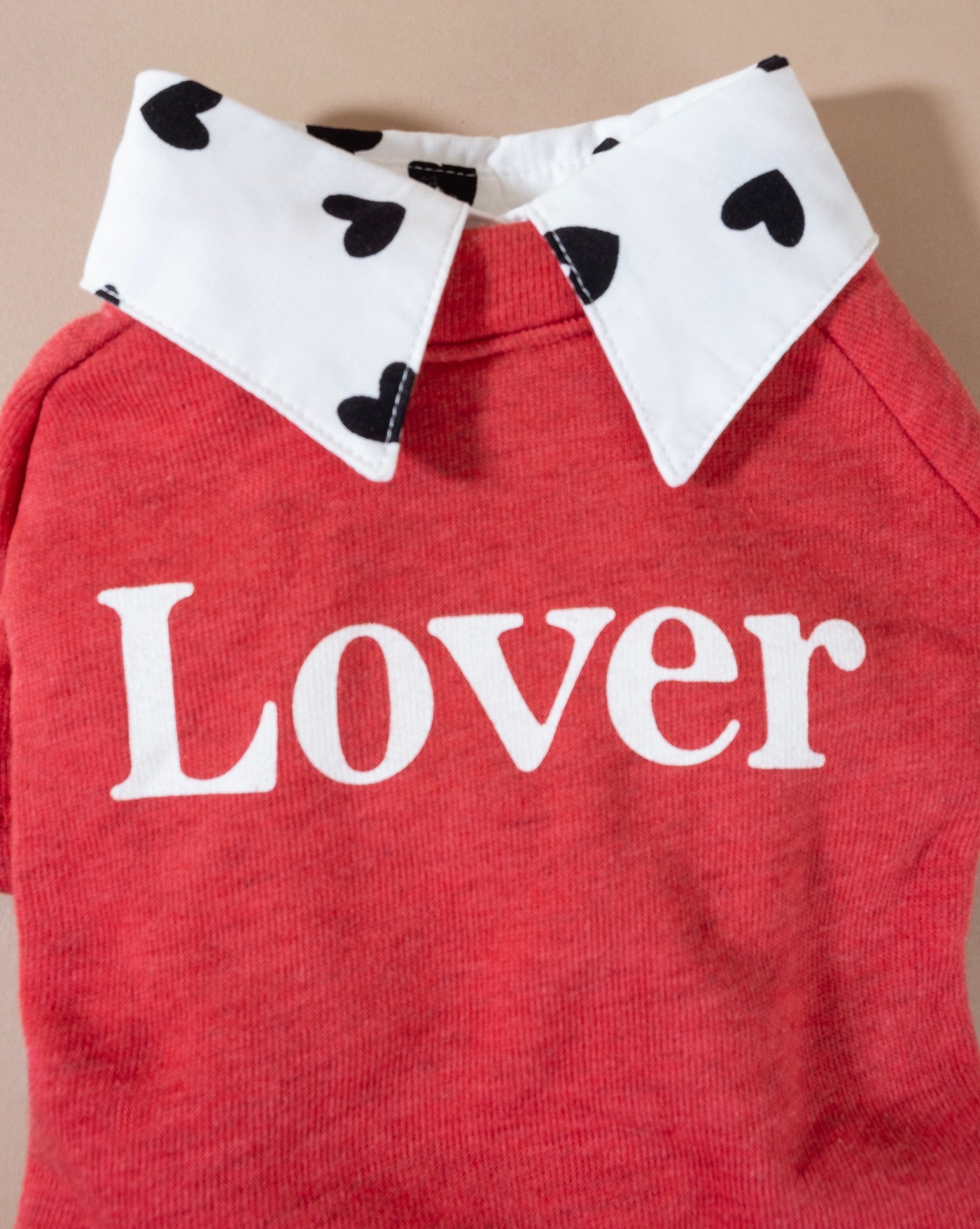 Comfortable and warm red sweatshirt for dogs, perfect for Bichons or Yorkies.