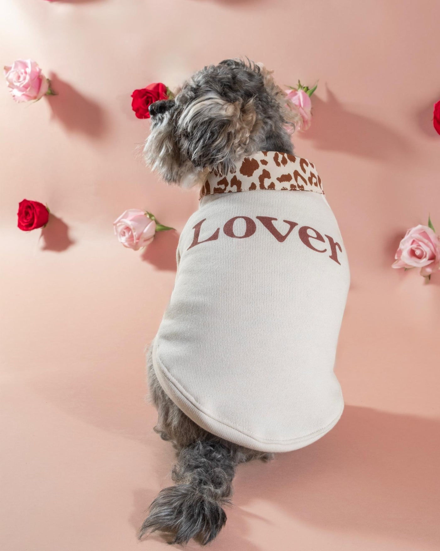 Lil’ Lover sweatshirt for dogs, perfect for your pup’s wardrobe.