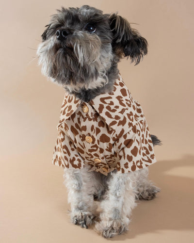 Chic leopard-patterned dog shirt for fashionable walks, perfect for Pugs or Chihuahuas.