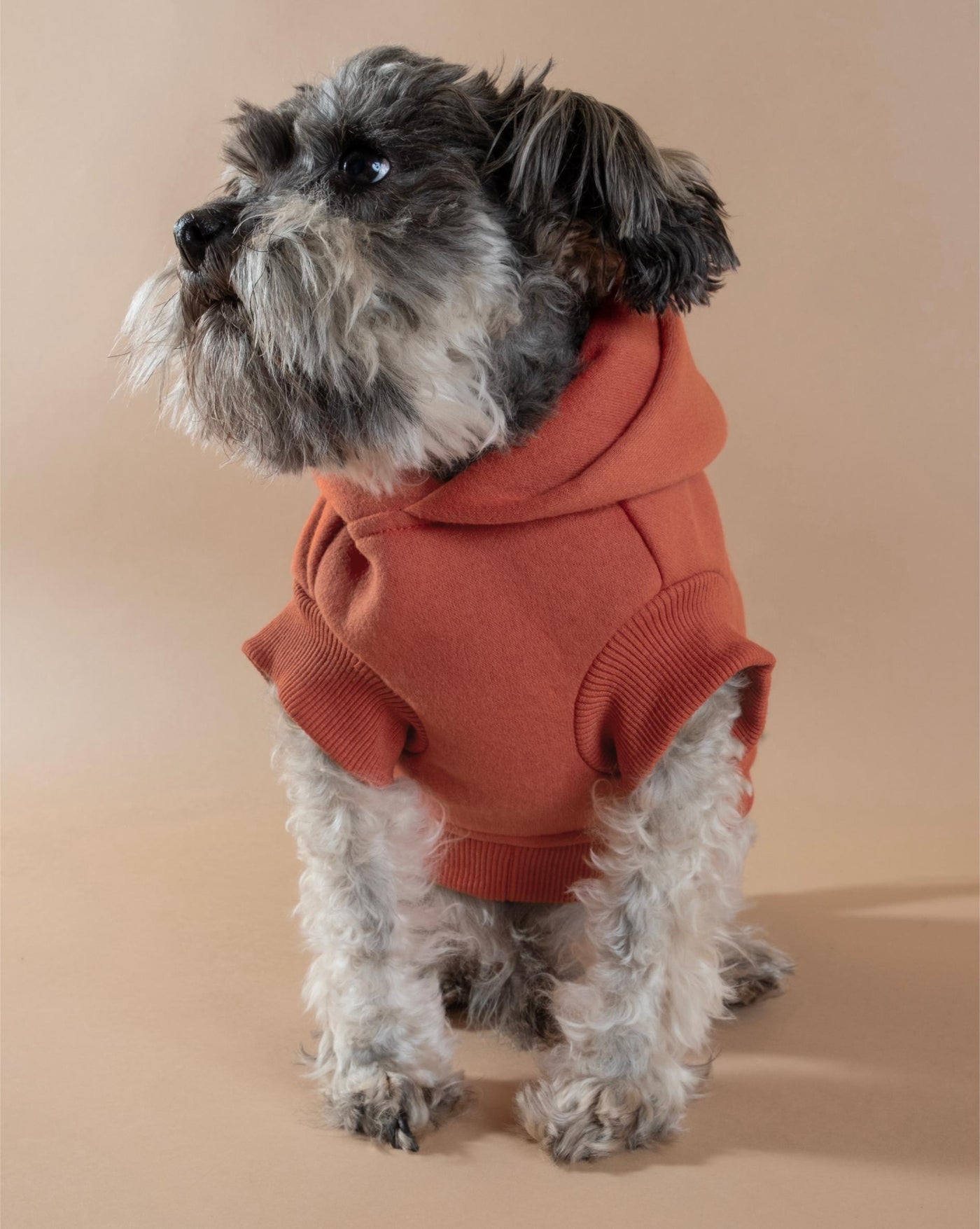 Bradley Red Short Sleeve Dog Hoodie