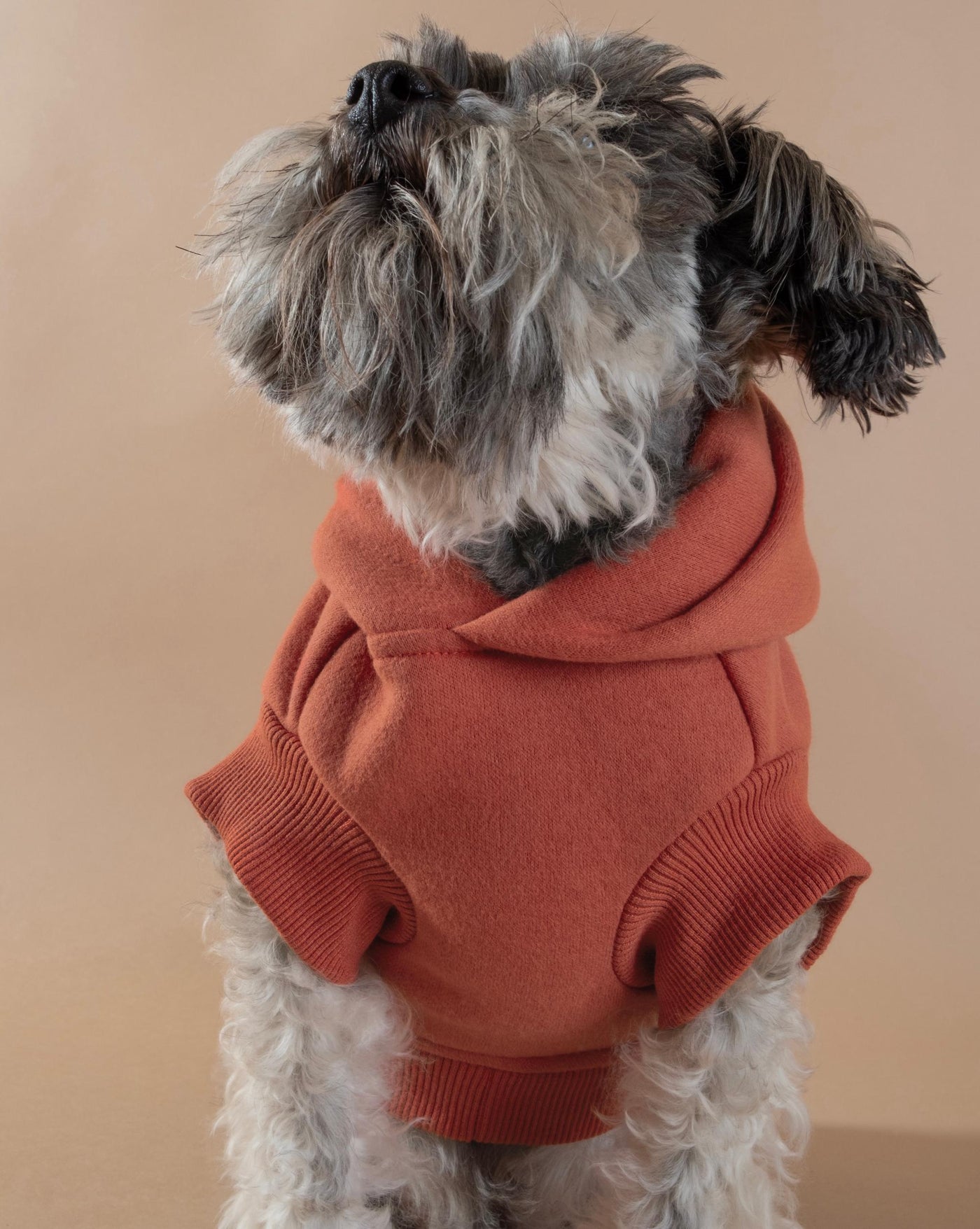 Bradley Red Short Sleeve Dog Hoodie