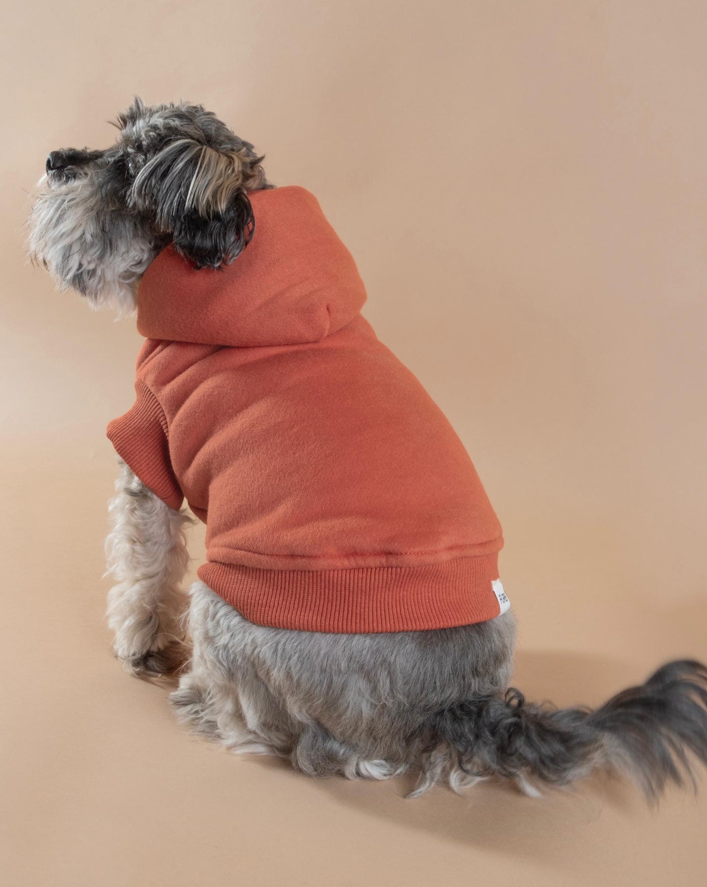 Bradley Red Short Sleeve Dog Hoodie