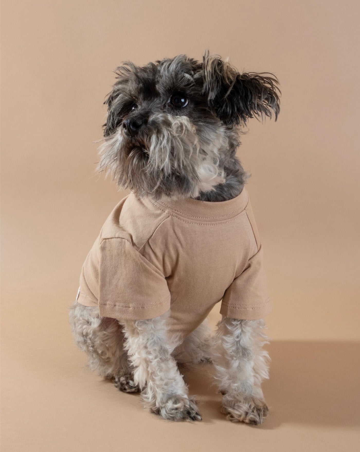 Tan dog t-shirt with a relaxed fit, perfect for sunny days and outdoor fun with your dog.