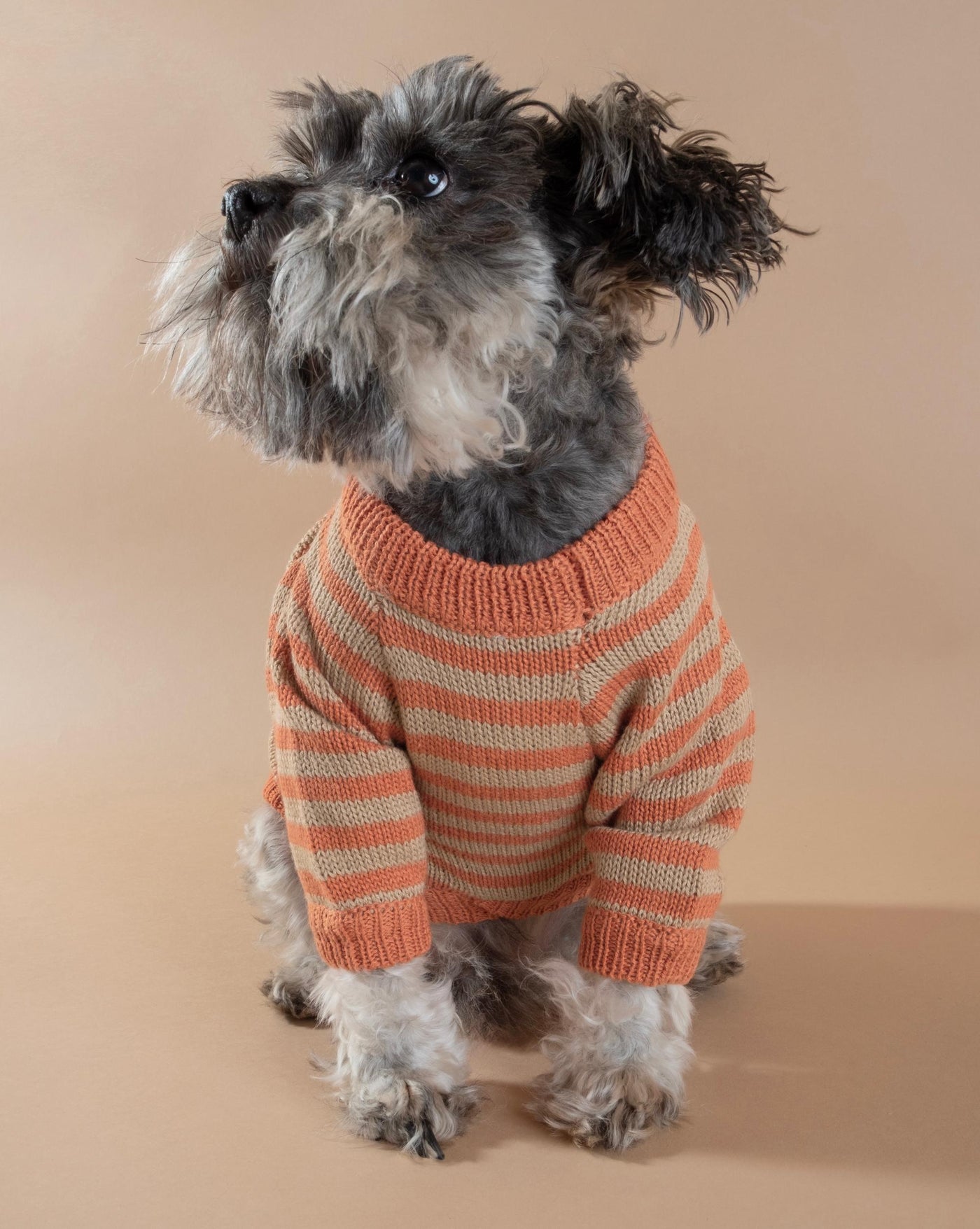 Cozy knit orange striped dog sweater for warmth and style on cool days.