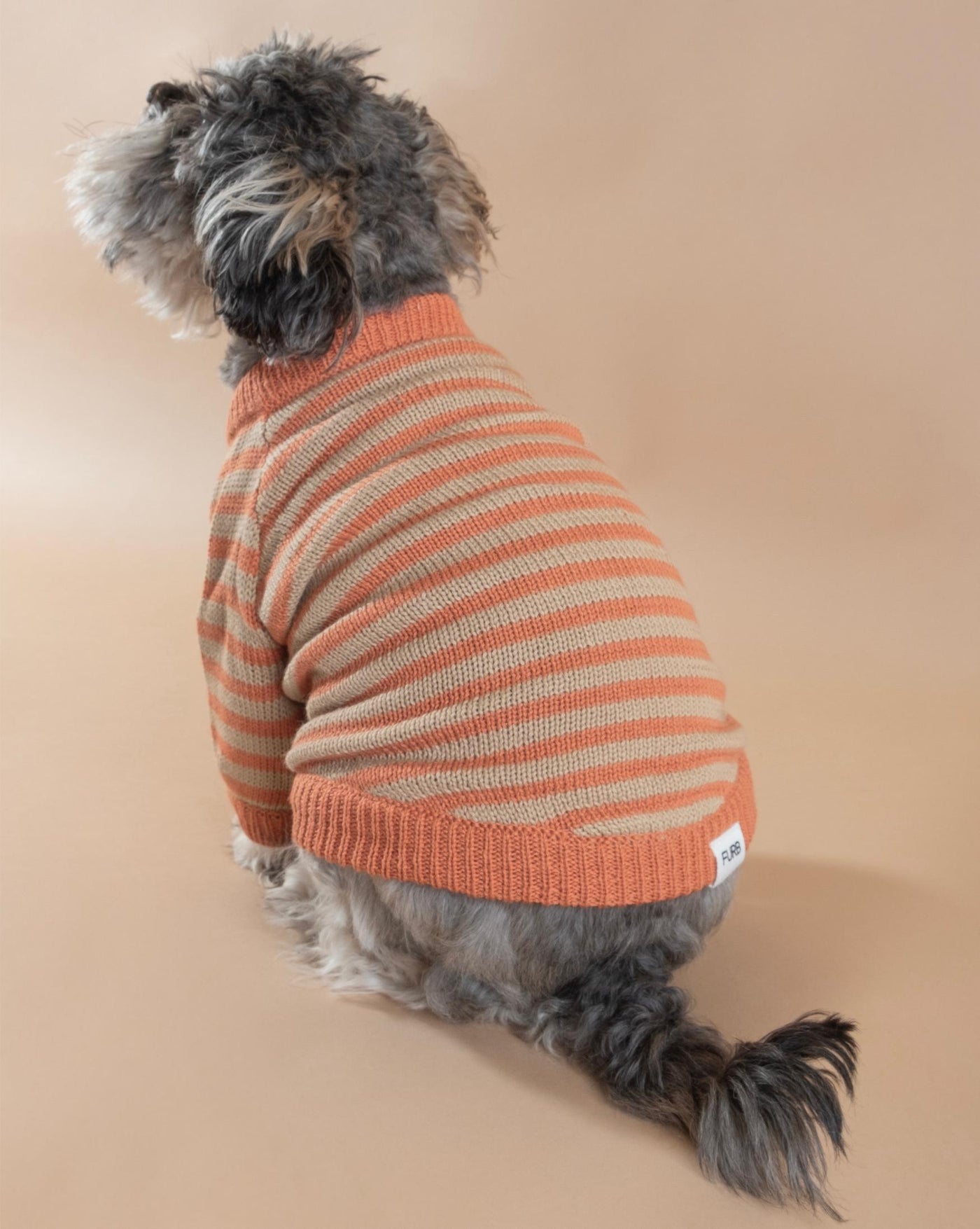 Like A Bandit Orange Striped Dog Sweater