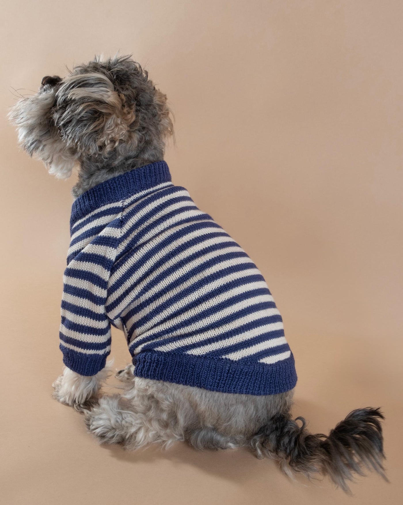 Like A Bandit Blue Striped Dog Sweater