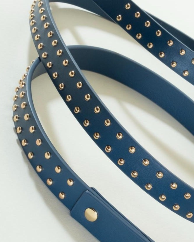 Premium blue leather dog leash with studs, designed for dogs of all sizes