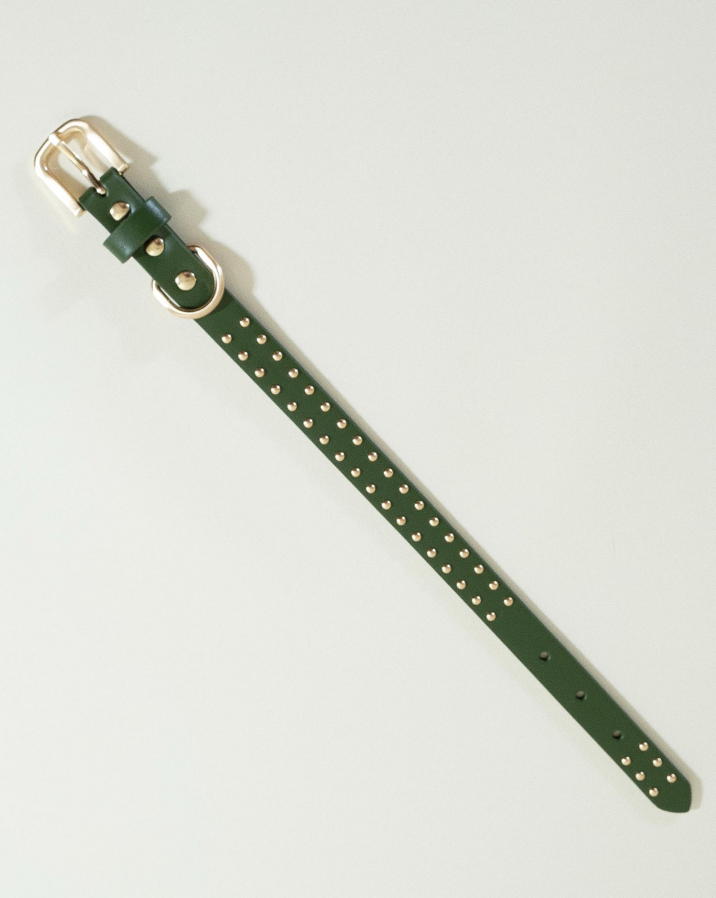 Trendy olive green leather collar with stud details, perfect for dogs who love to stand out