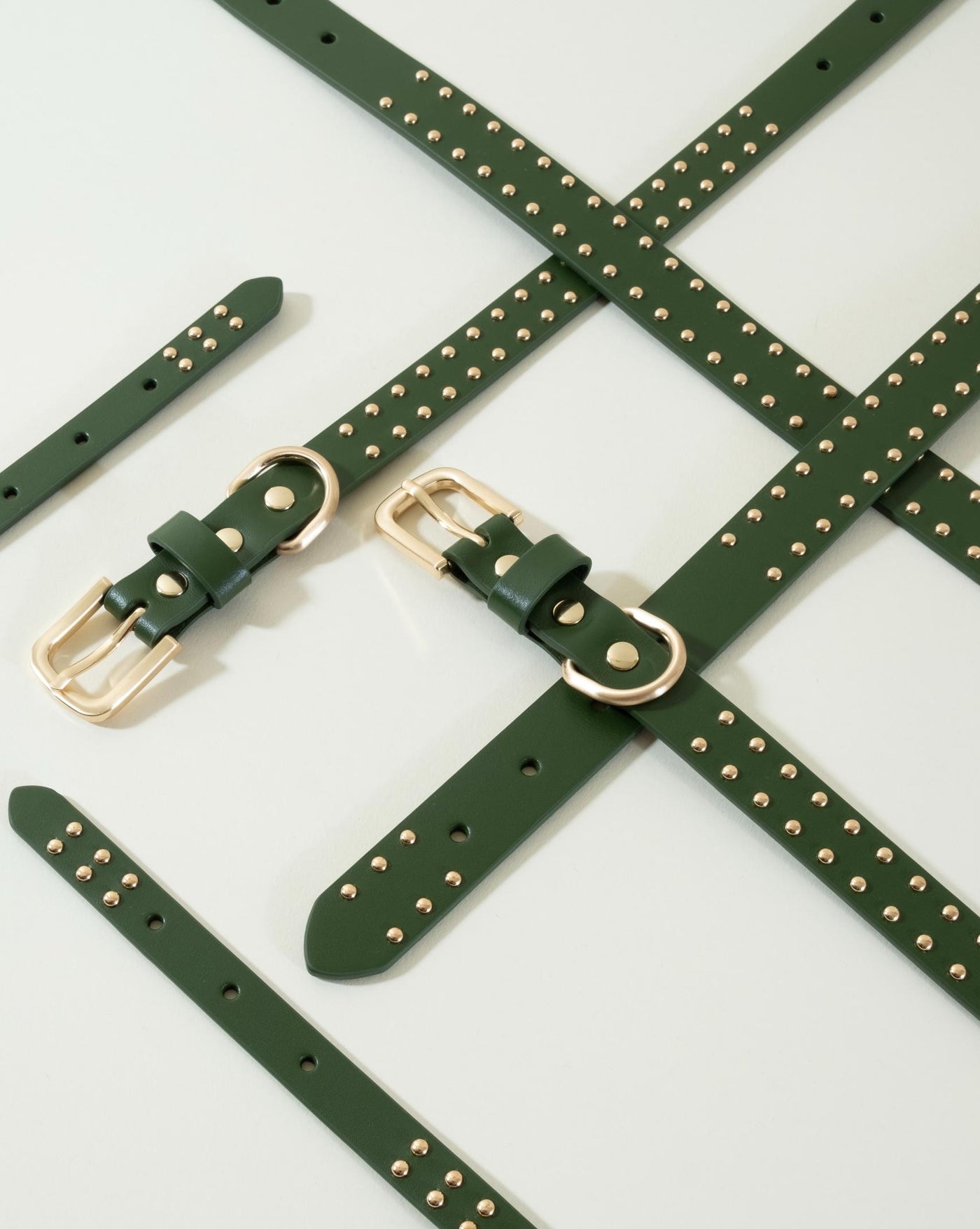 Chic green leather dog collar with studs, perfect for daily walks with your dog