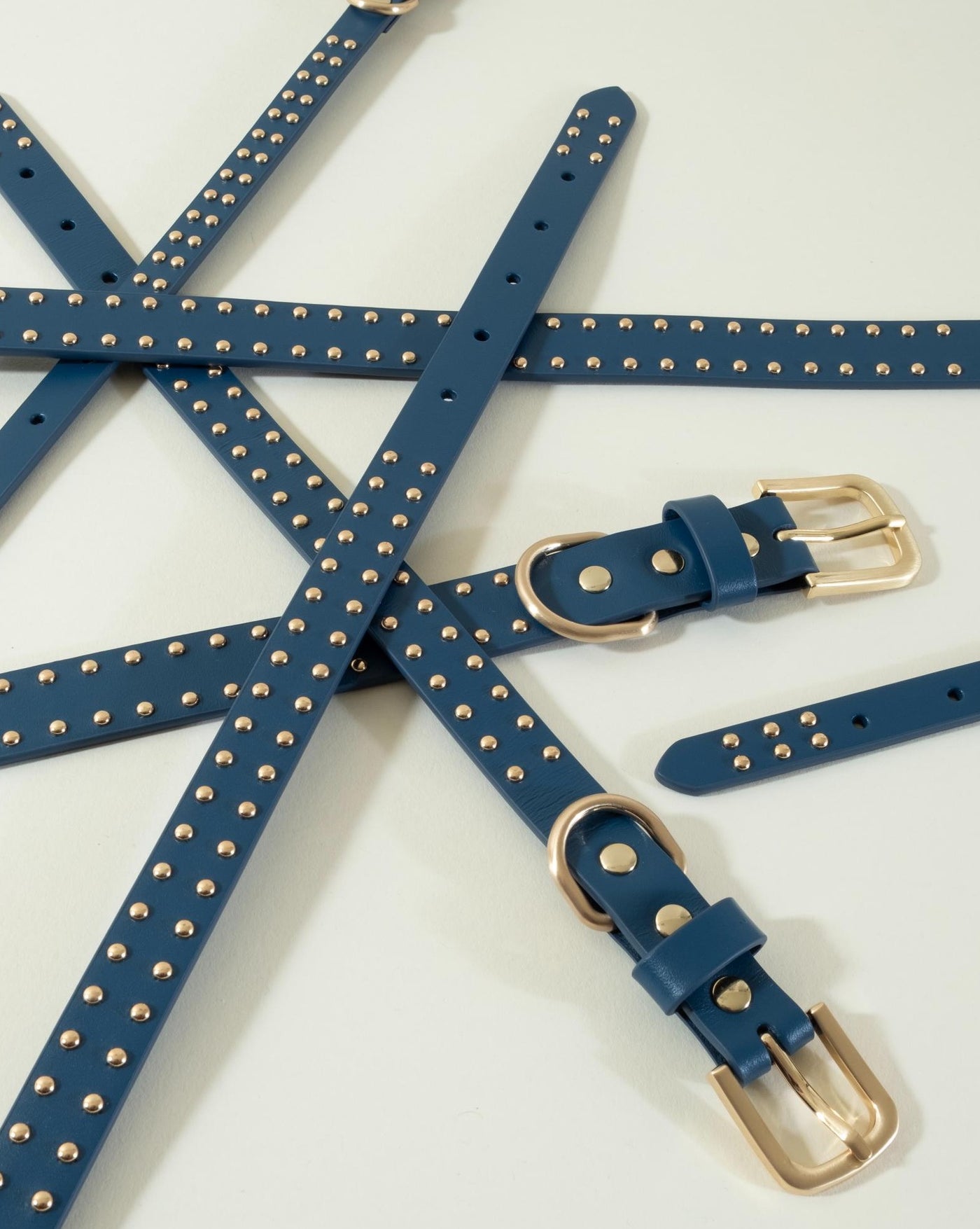 Classic blue leather collar with studs, ideal for active dogs and their owners