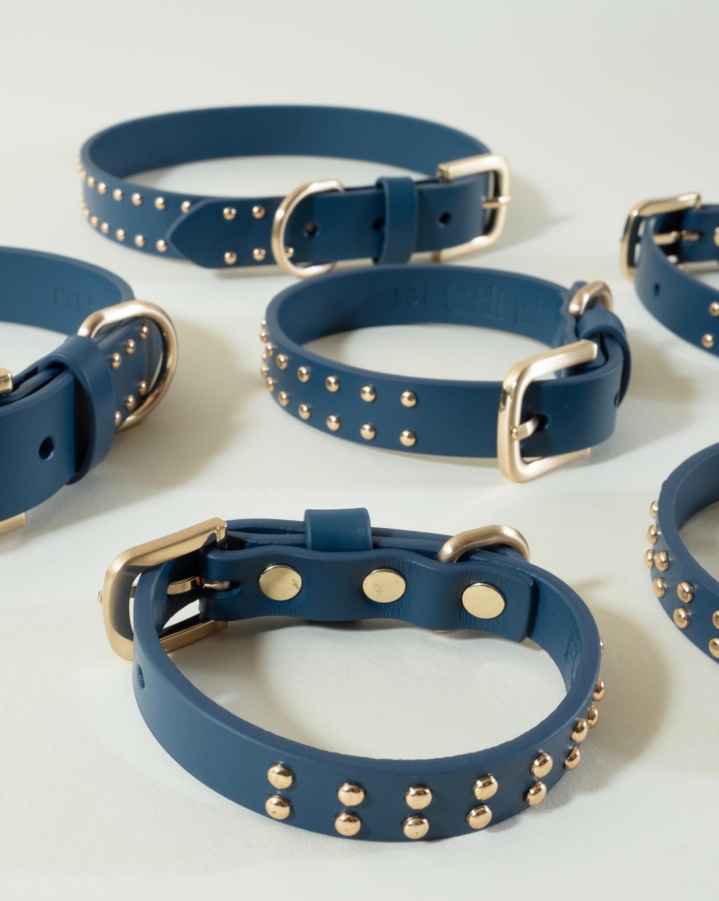 Fashionable blue leather dog collar with studs, great for dogs with a bold personality