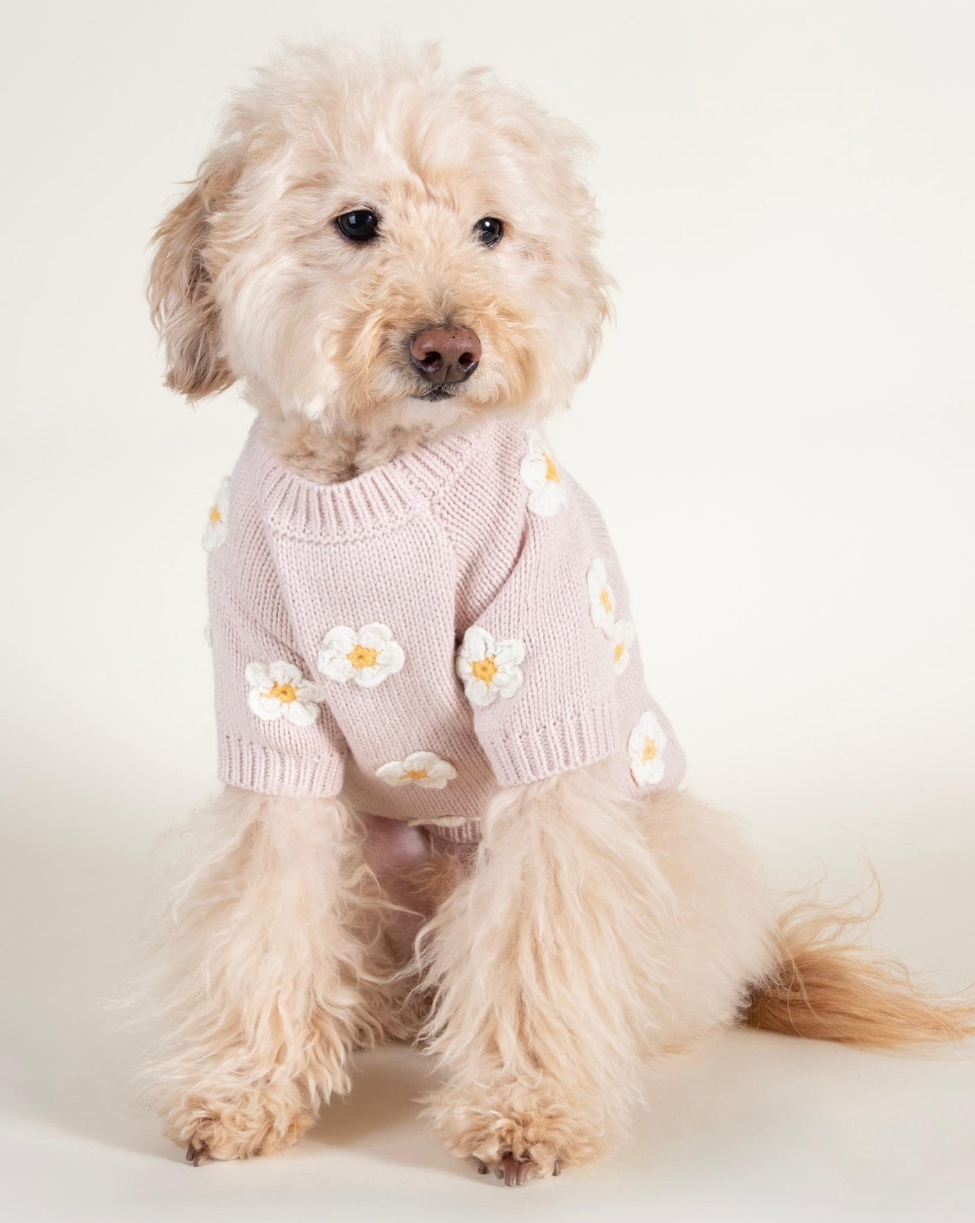 Flower-inspired blush pink sweater for small and medium breed dogs, perfect for adding a pop of color to chilly days.