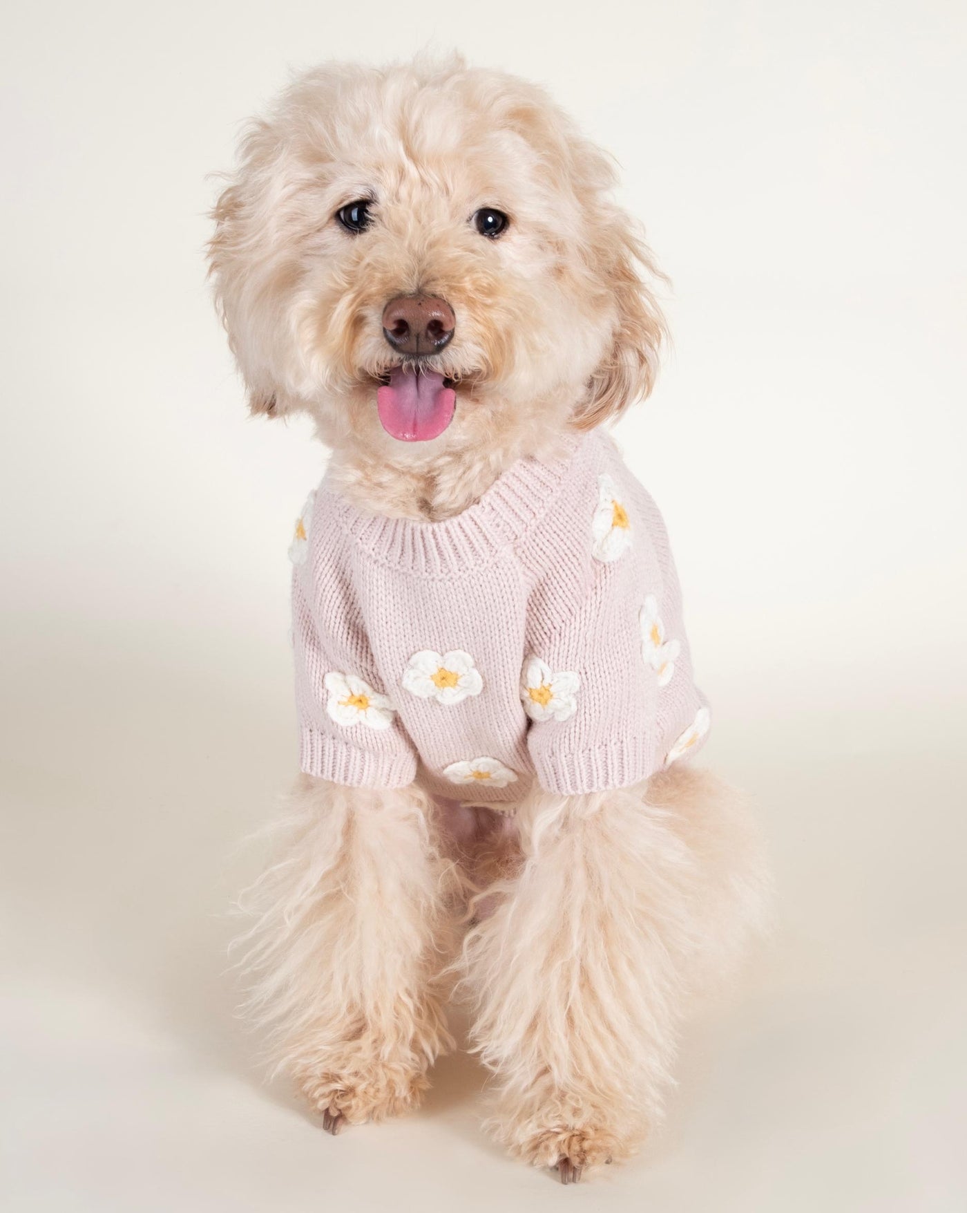 Adorable pink daisy dog sweater for small to medium-sized breeds, perfect for cozy, stylish wear.