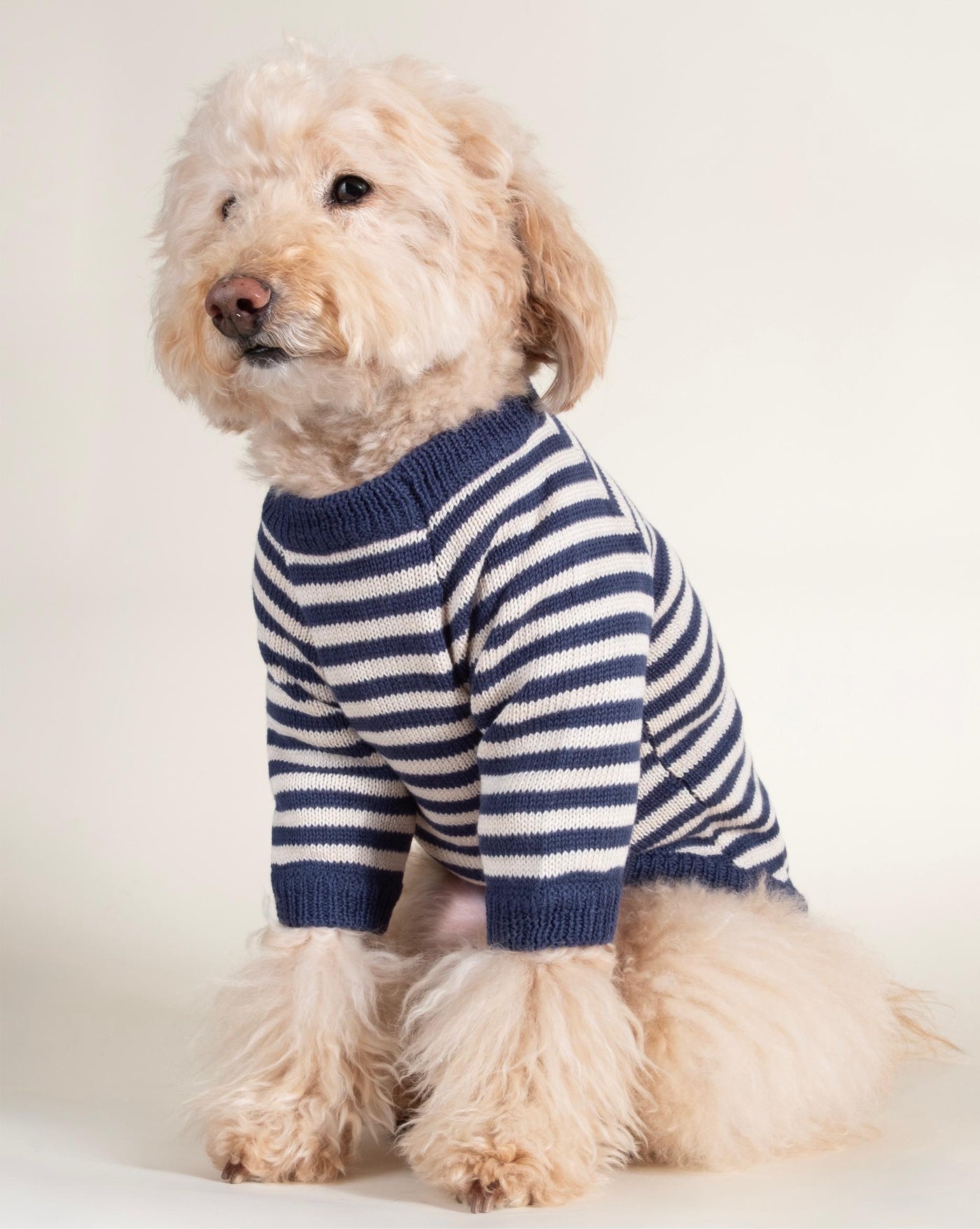 Like A Bandit Blue Striped Dog Sweater