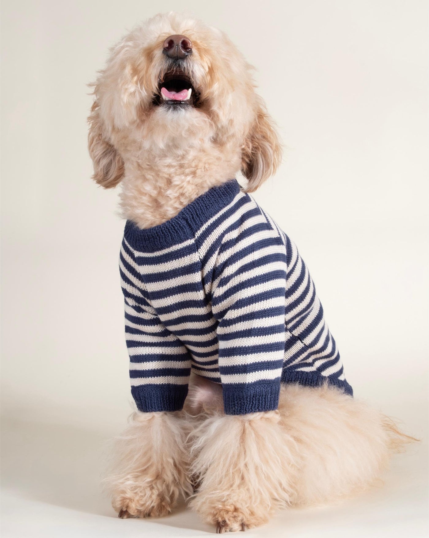 Like A Bandit Blue Striped Dog Sweater