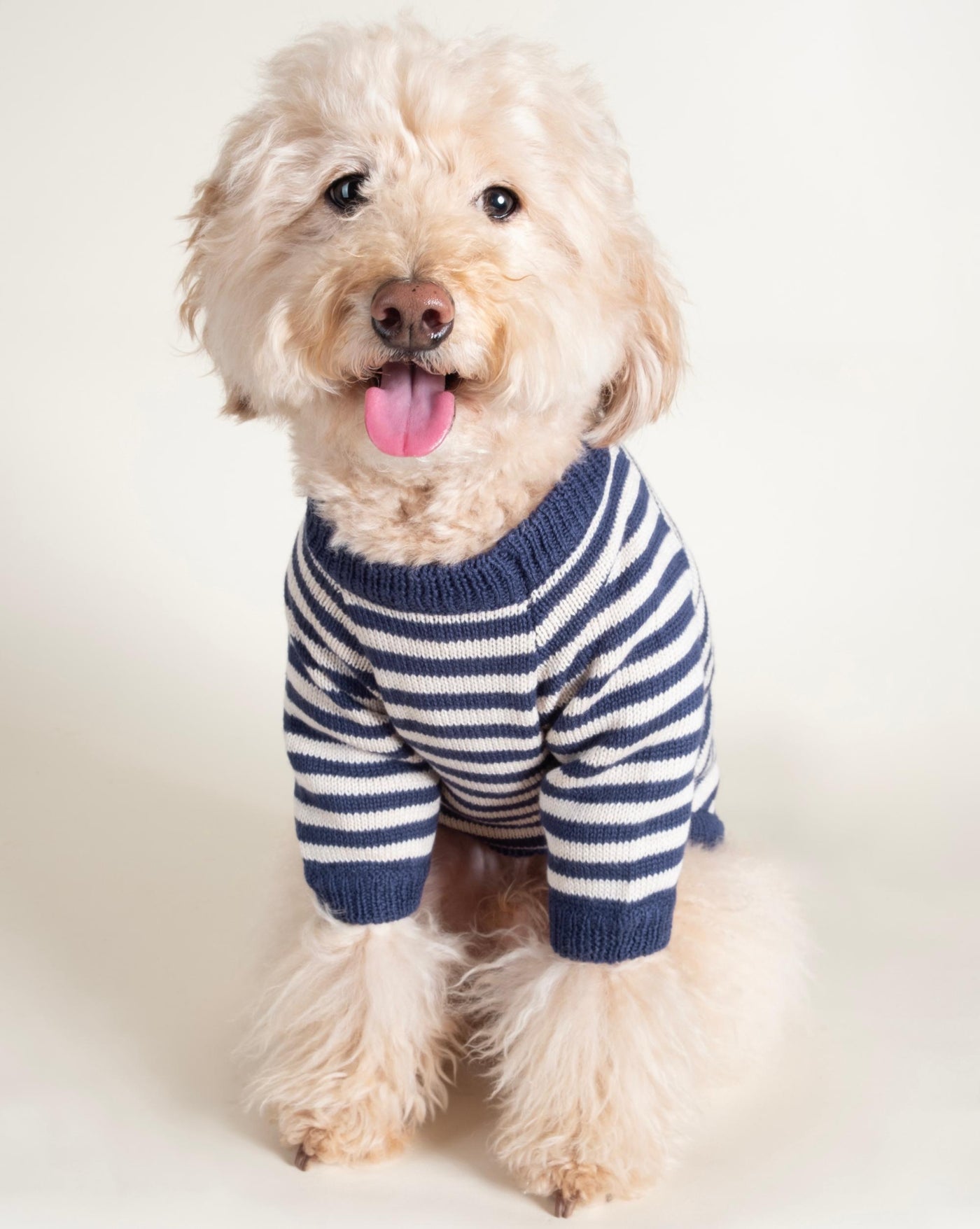 Like A Bandit Blue Striped Dog Sweater