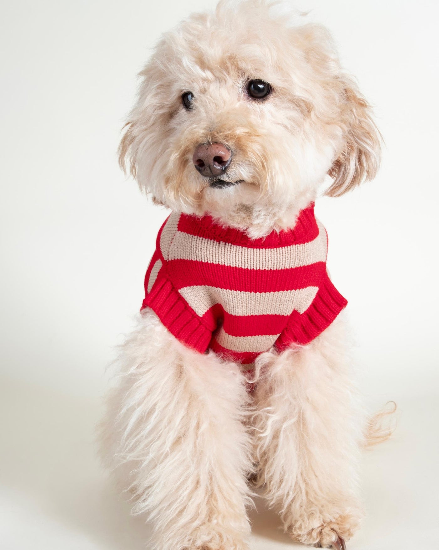 Red striped sweater vest for dogs, perfect for layering and adding a fun twist to your dog’s wardrobe