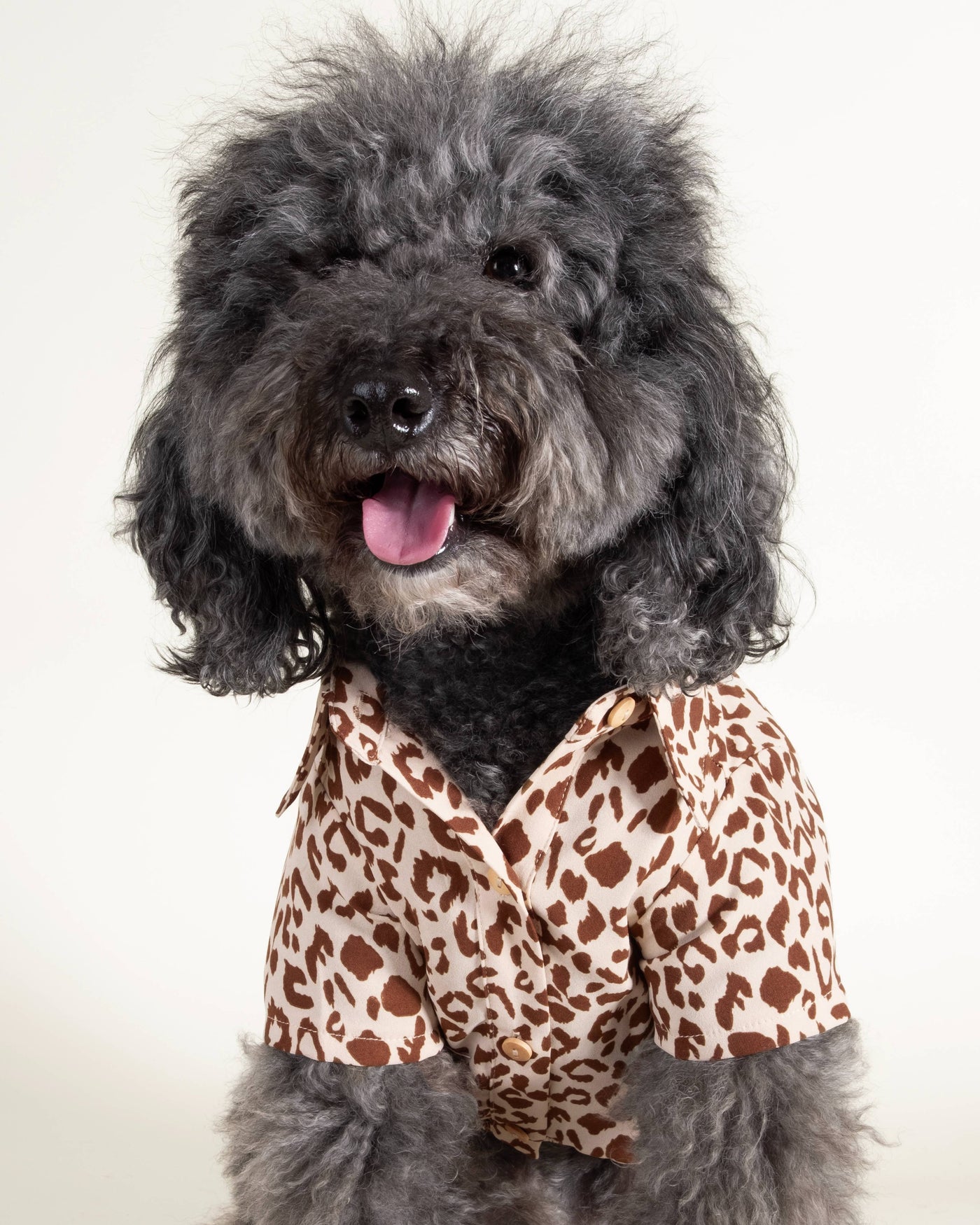 Brown and tan leopard print dog shirt with button-up design, ideal for small to medium-sized dogs looking for fashion-forward flair