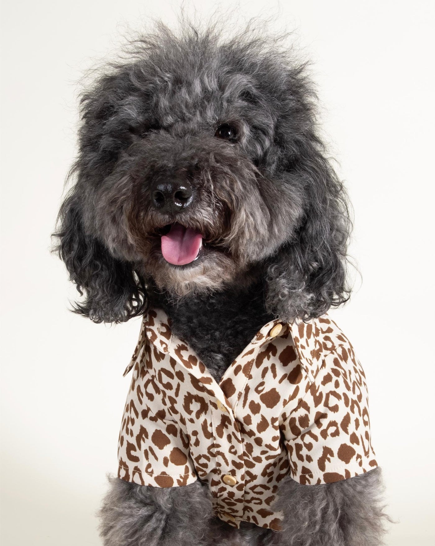 Walk on the Wild Side Leopard Button-Up