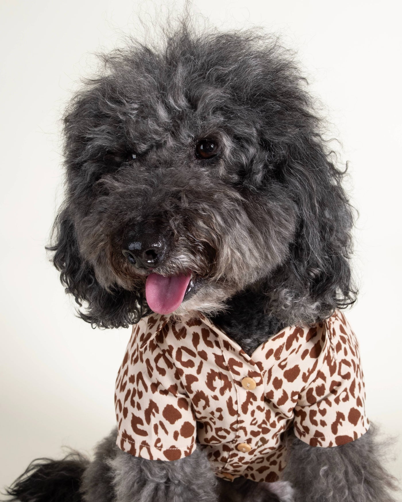 Leopard button-up shirt for small and medium-sized dogs, bringing wild style to your dog's wardrobe