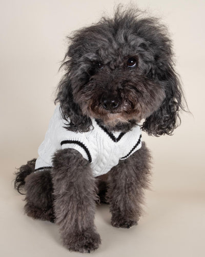 Elegant ivory cable knit sweater vest for small and medium-sized dogs, offering warmth and style.