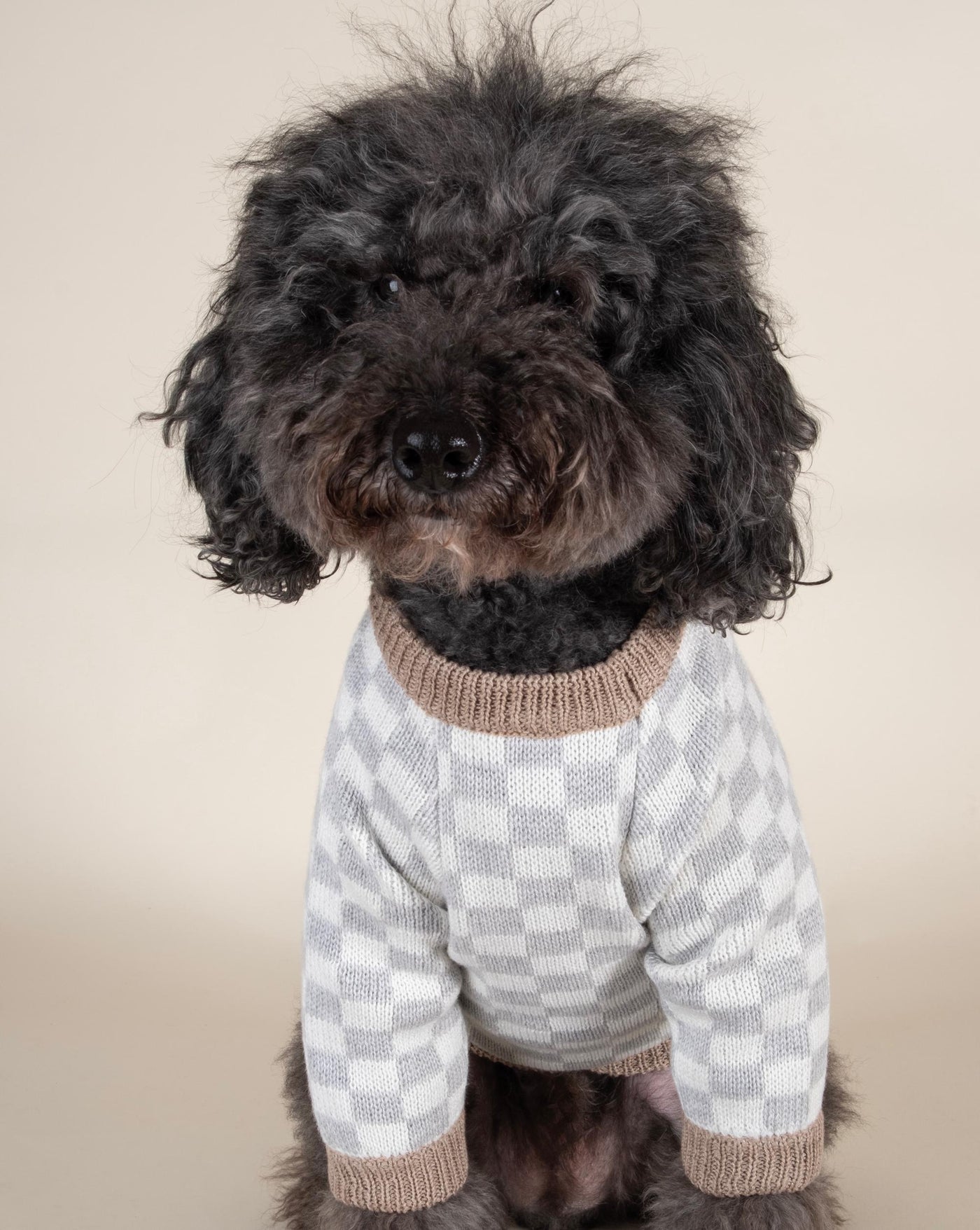 Arlo Grey Check Dog Sweater