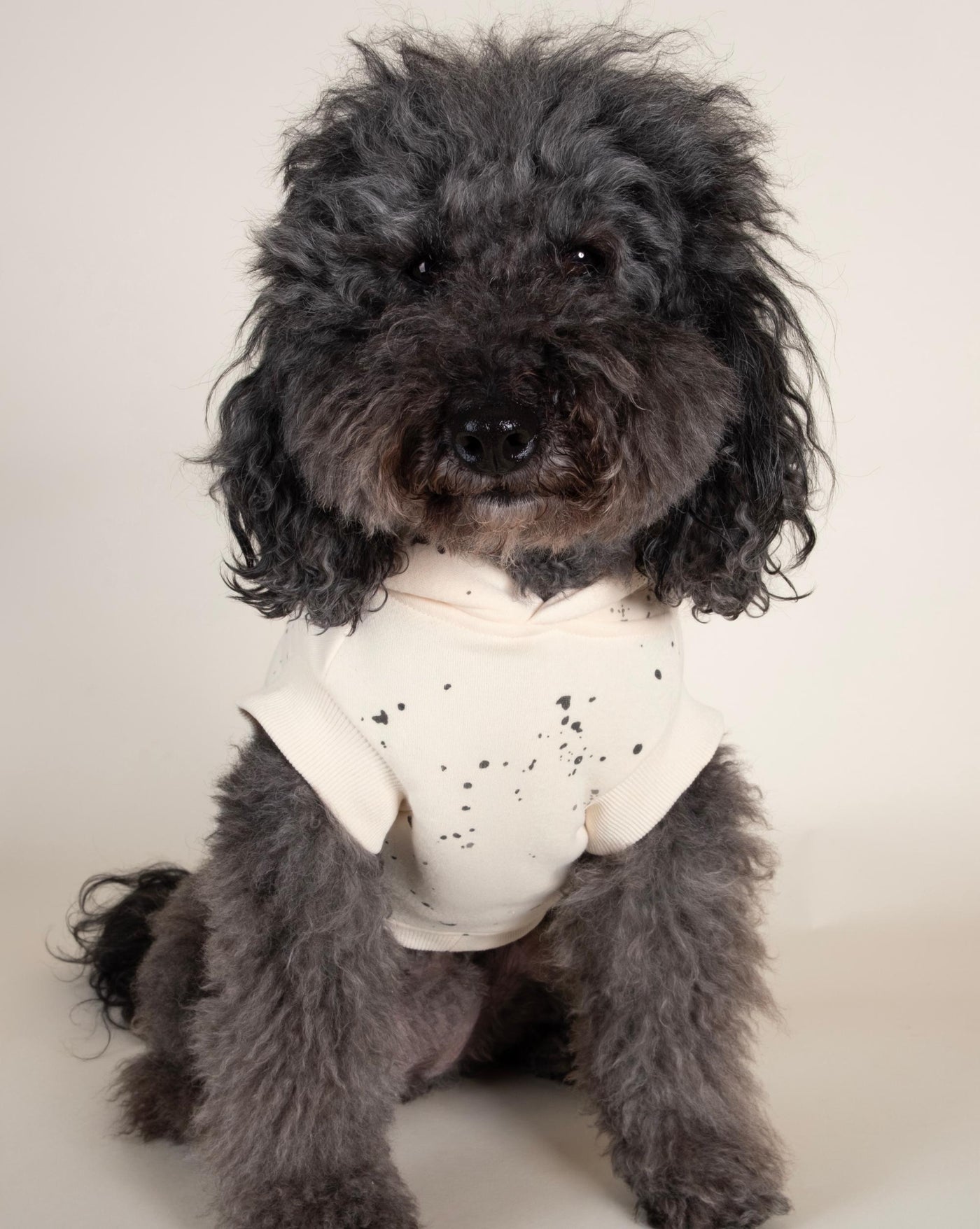 Stylish ivory short sleeve hoodie with paint splatter design, ideal for small and medium-sized dogs.