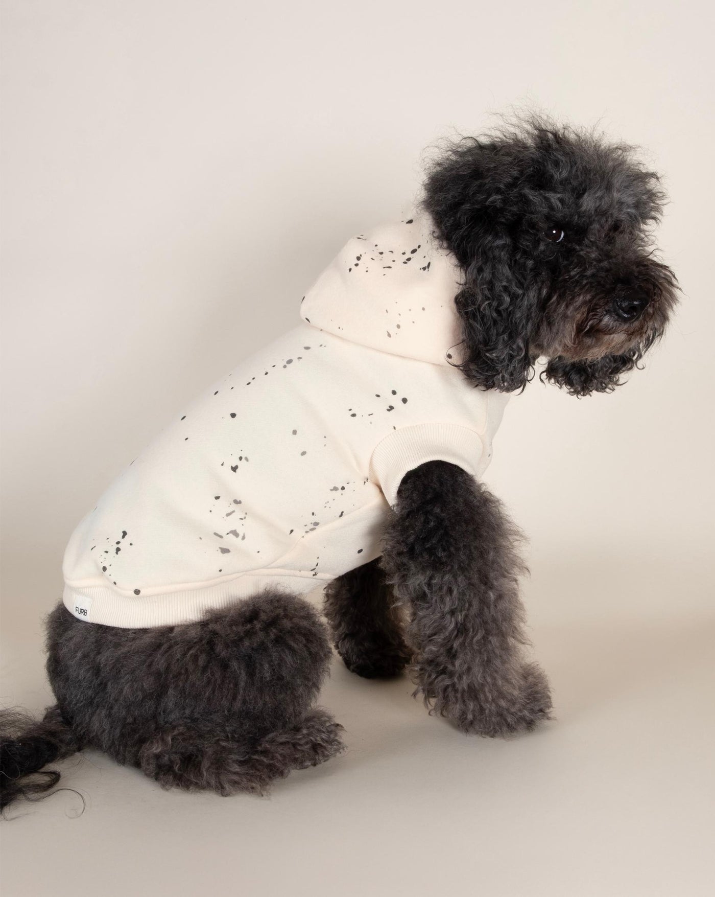 Bradley Ivory Paint Splatter Short Sleeve Dog Hoodie