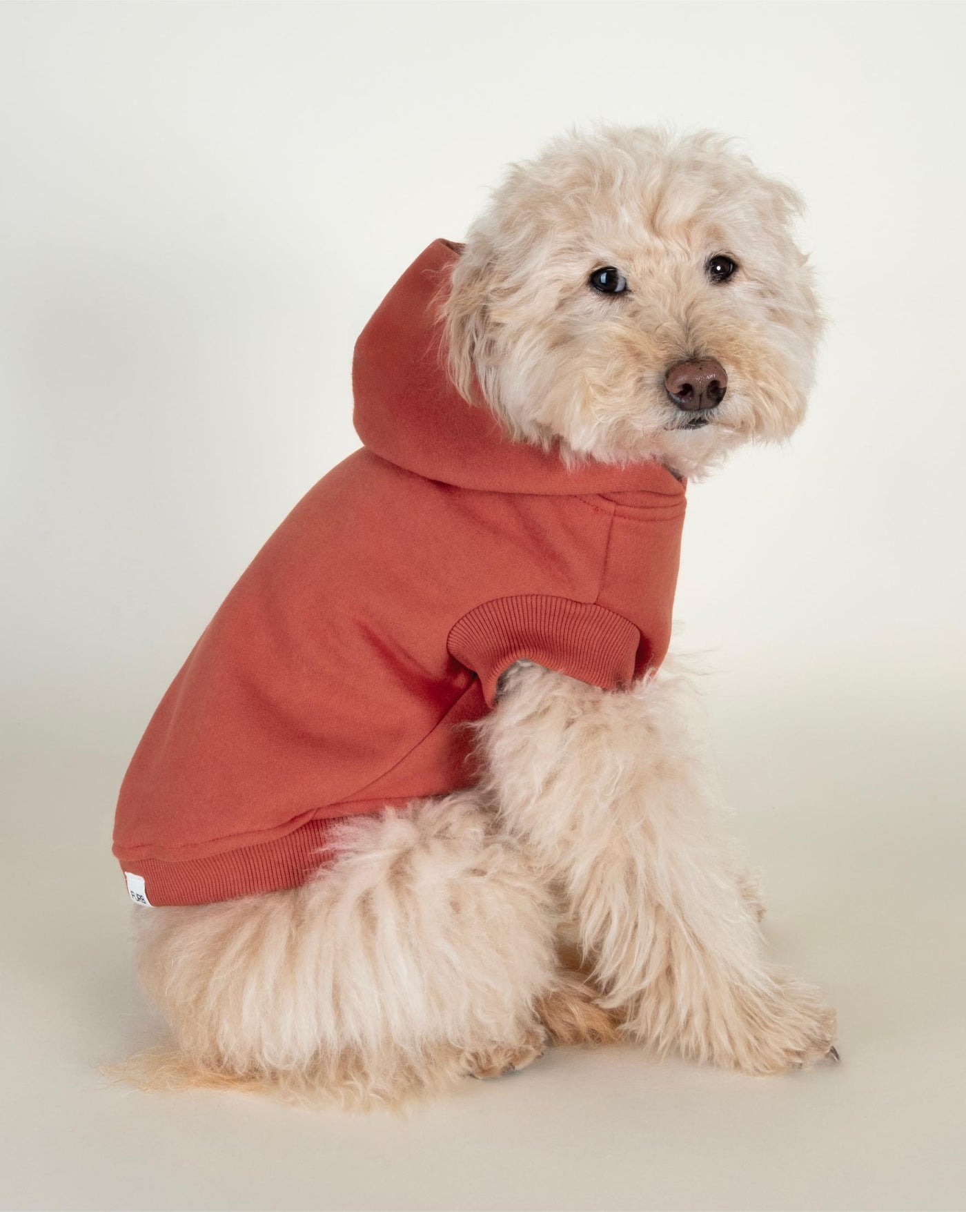 Cayenne red dog hoodie with short sleeves, offering cozy comfort and casual style for your furry friend.