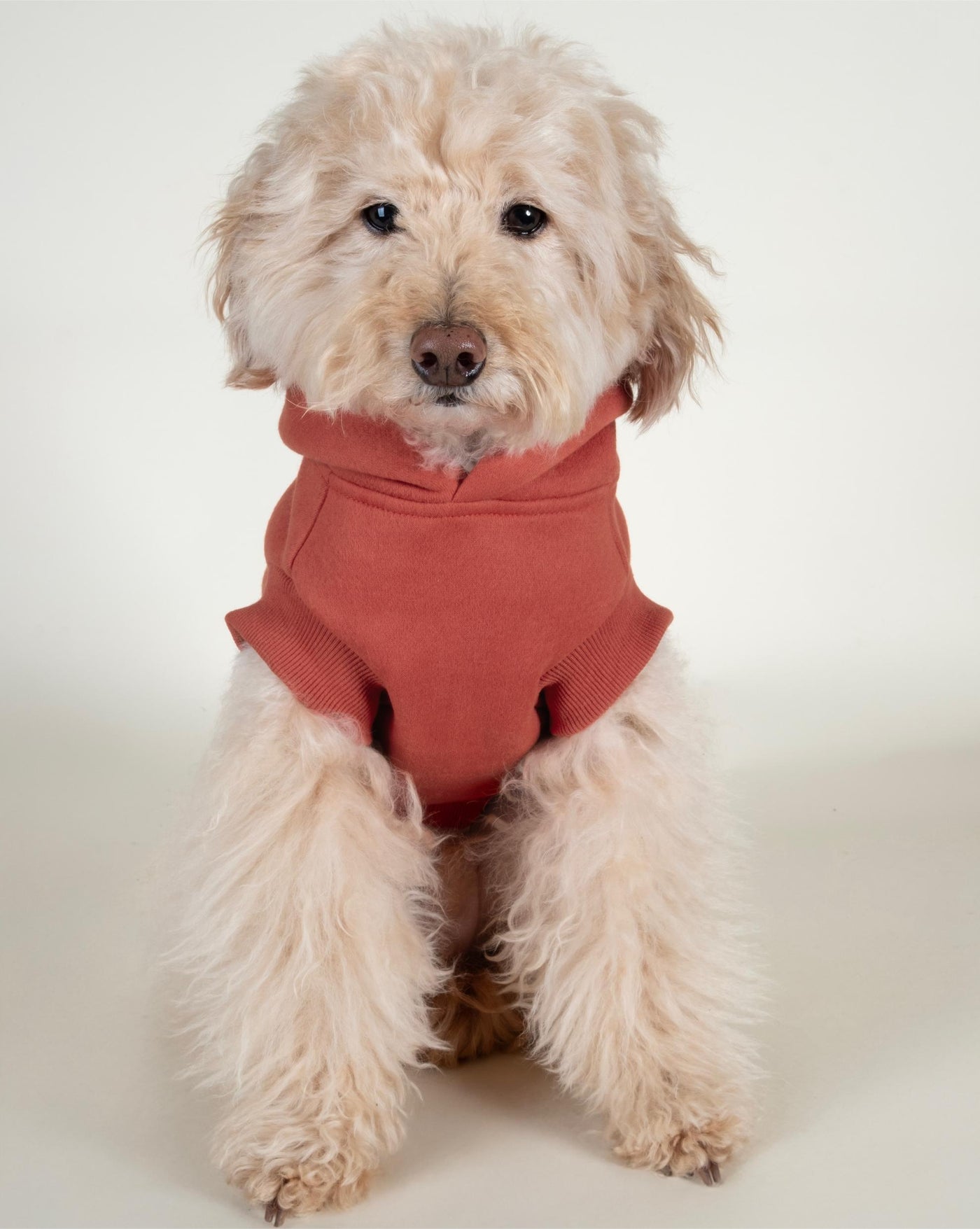 Bradley Cayenne Red Short Sleeve Dog Hoodie