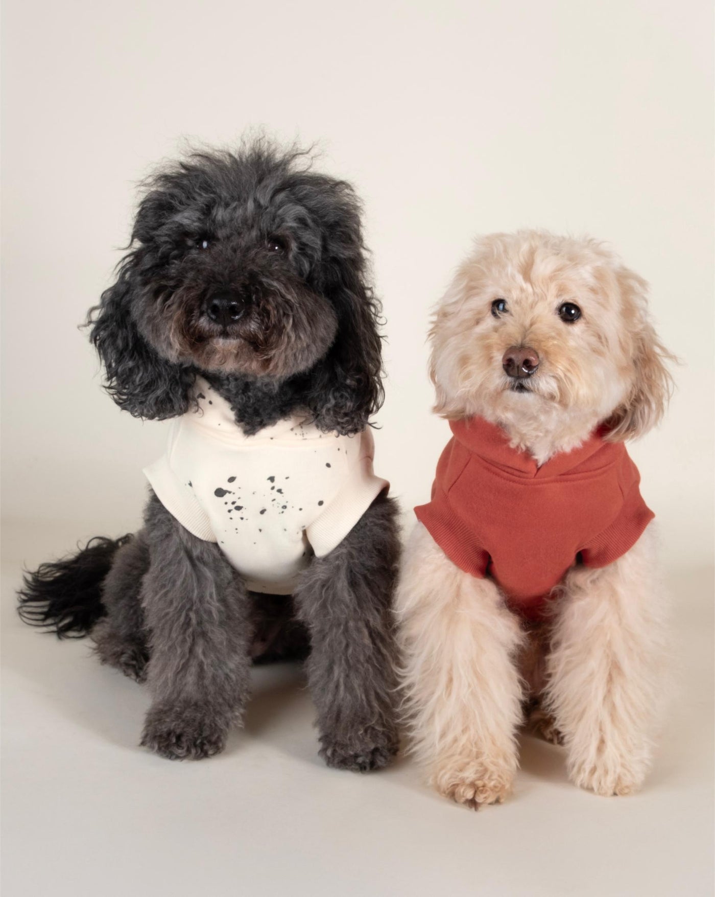 Ivory dog hoodie featuring a paint splatter print, ideal for small and medium-sized pups who love to stand out.