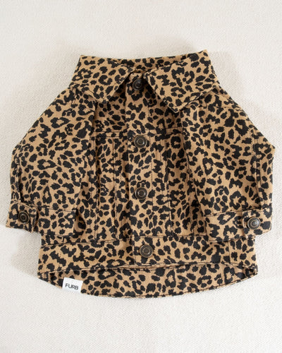 Trendy leopard print denim dog jacket for breeds like Bulldogs and Pugs.