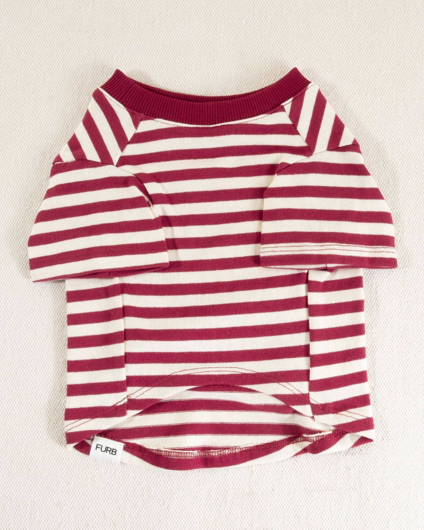 Red and ivory striped dog t-shirt, a comfortable choice for active dogs like Pugs and Cavaliers.